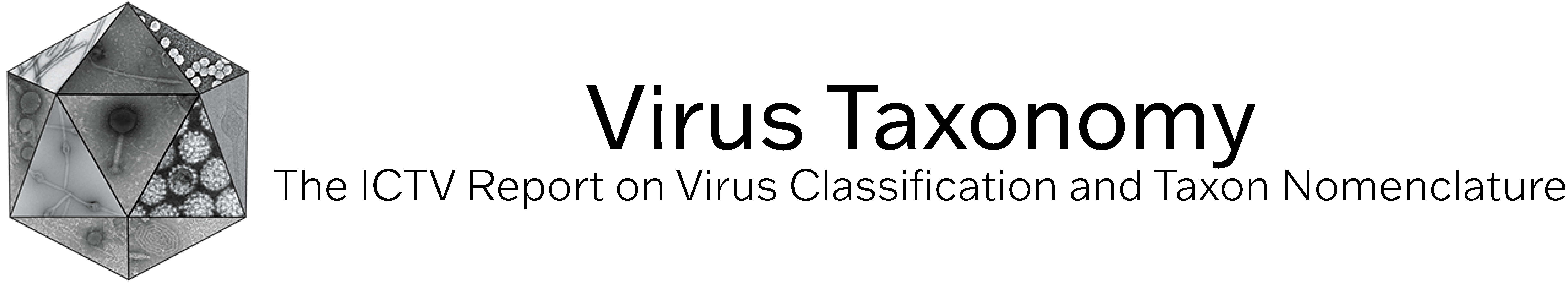 Report-Logo-Title.png