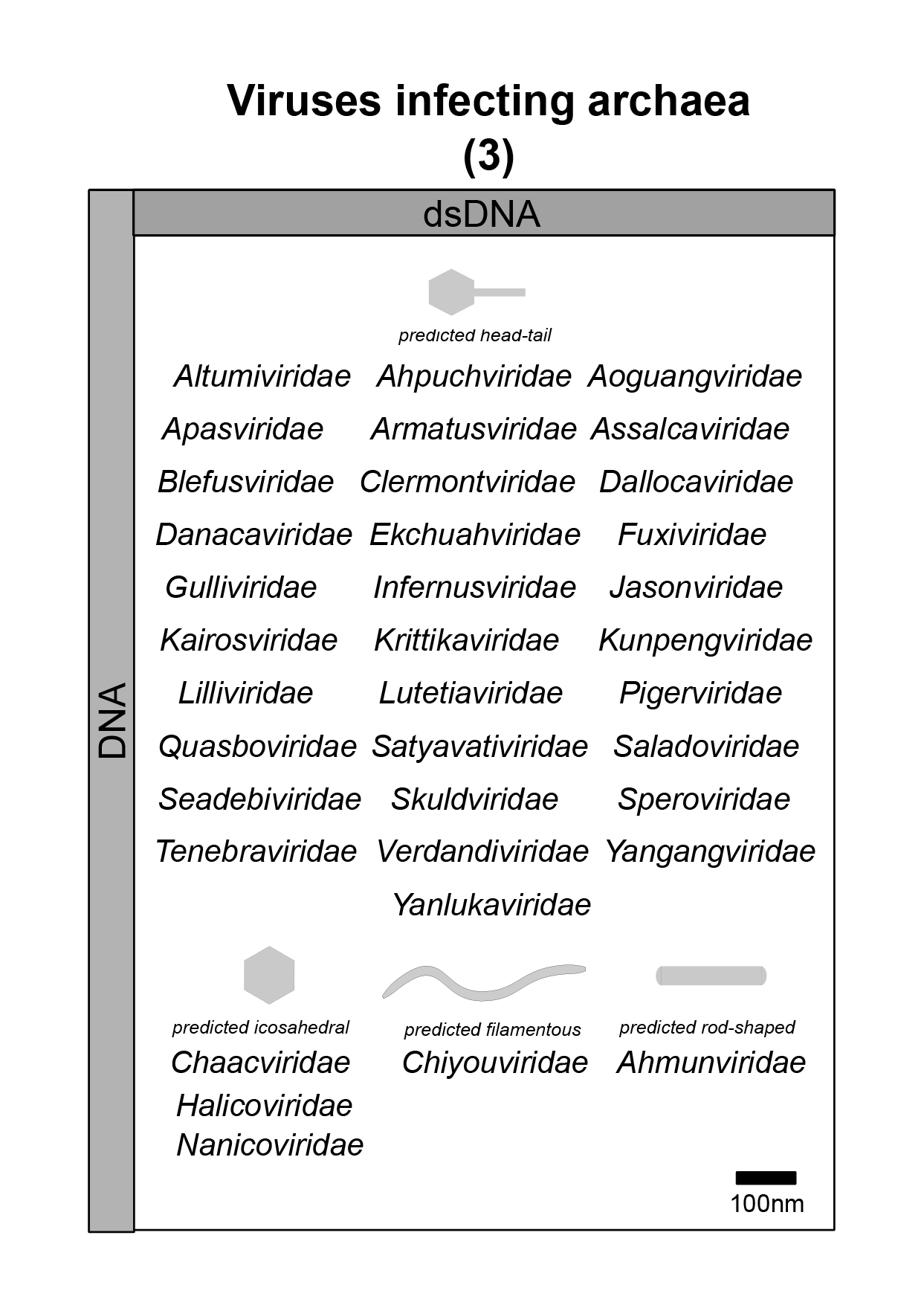 Archaea virus image 3