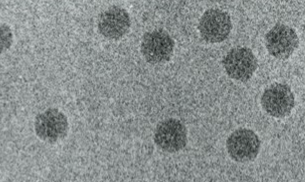 Nodaviridae