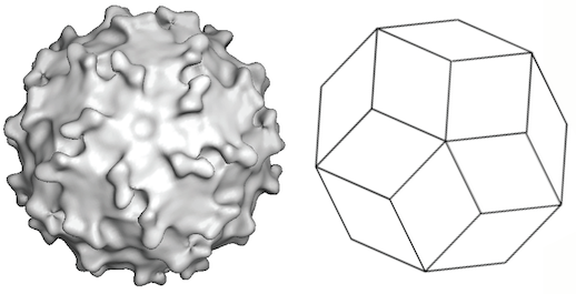 Picobirnaviridae
