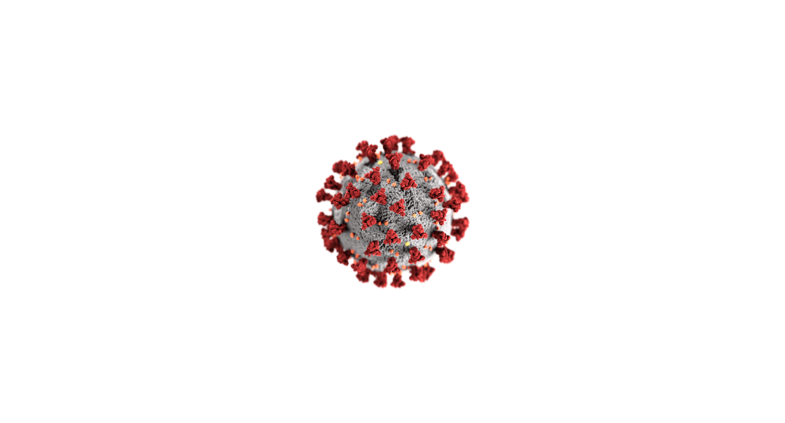 Virus taxonomy, classification, and naming