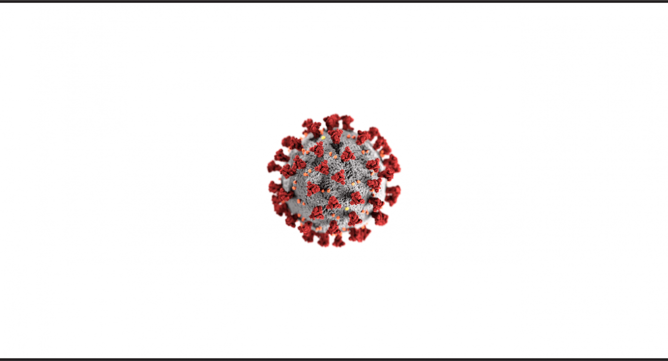 Virus taxonomy, classification, and naming