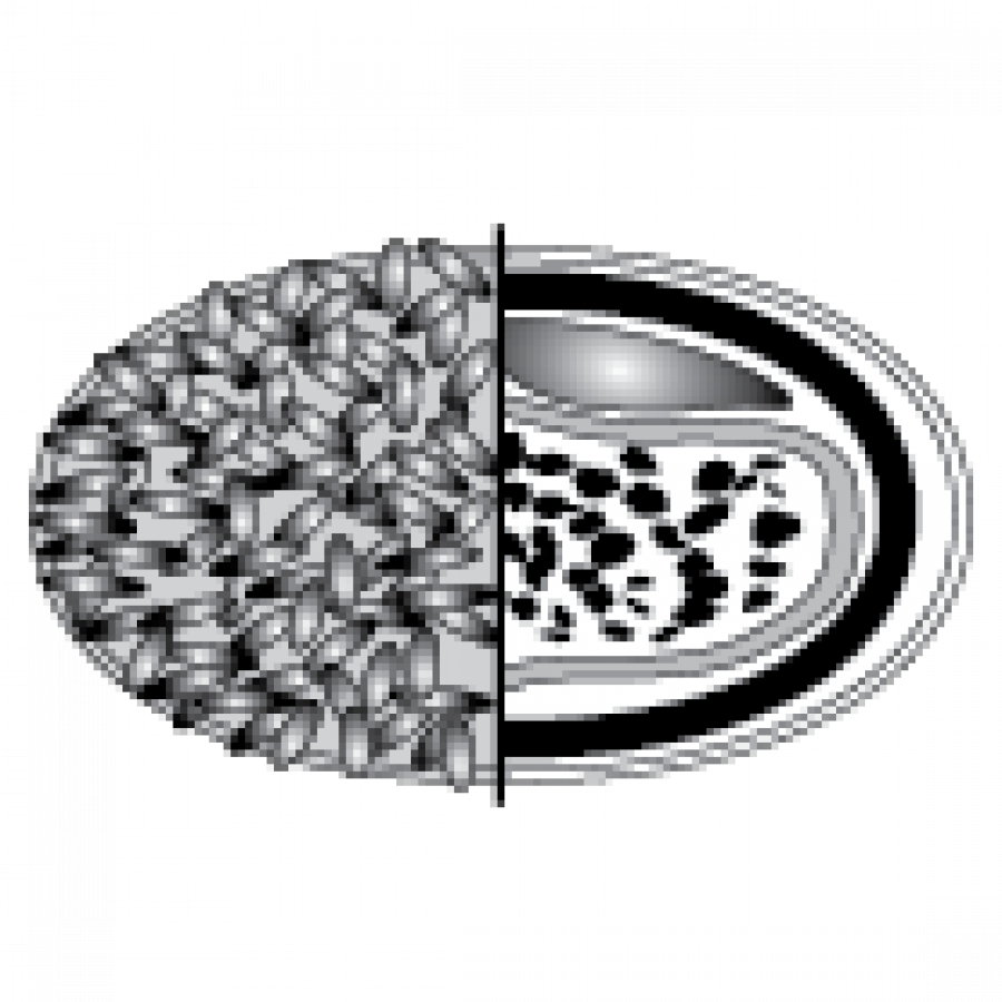 Poxvirus