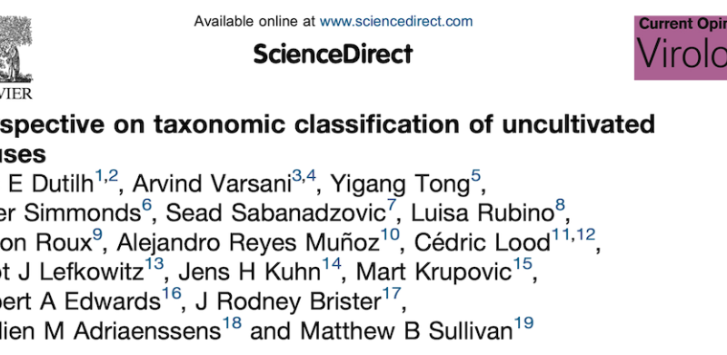Virus metagenomics