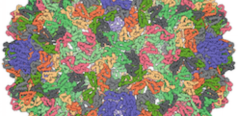 Metaviridae