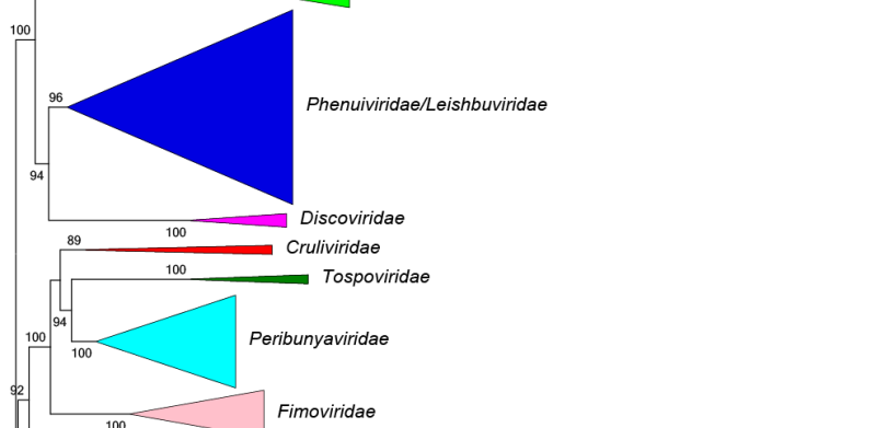 Tulasviridae