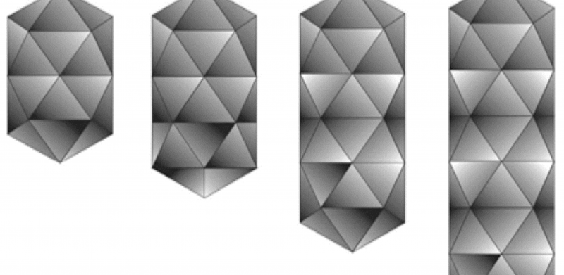 Botourmiaviridae