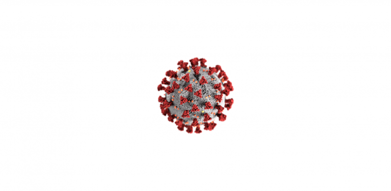 Virus taxonomy, classification, and naming