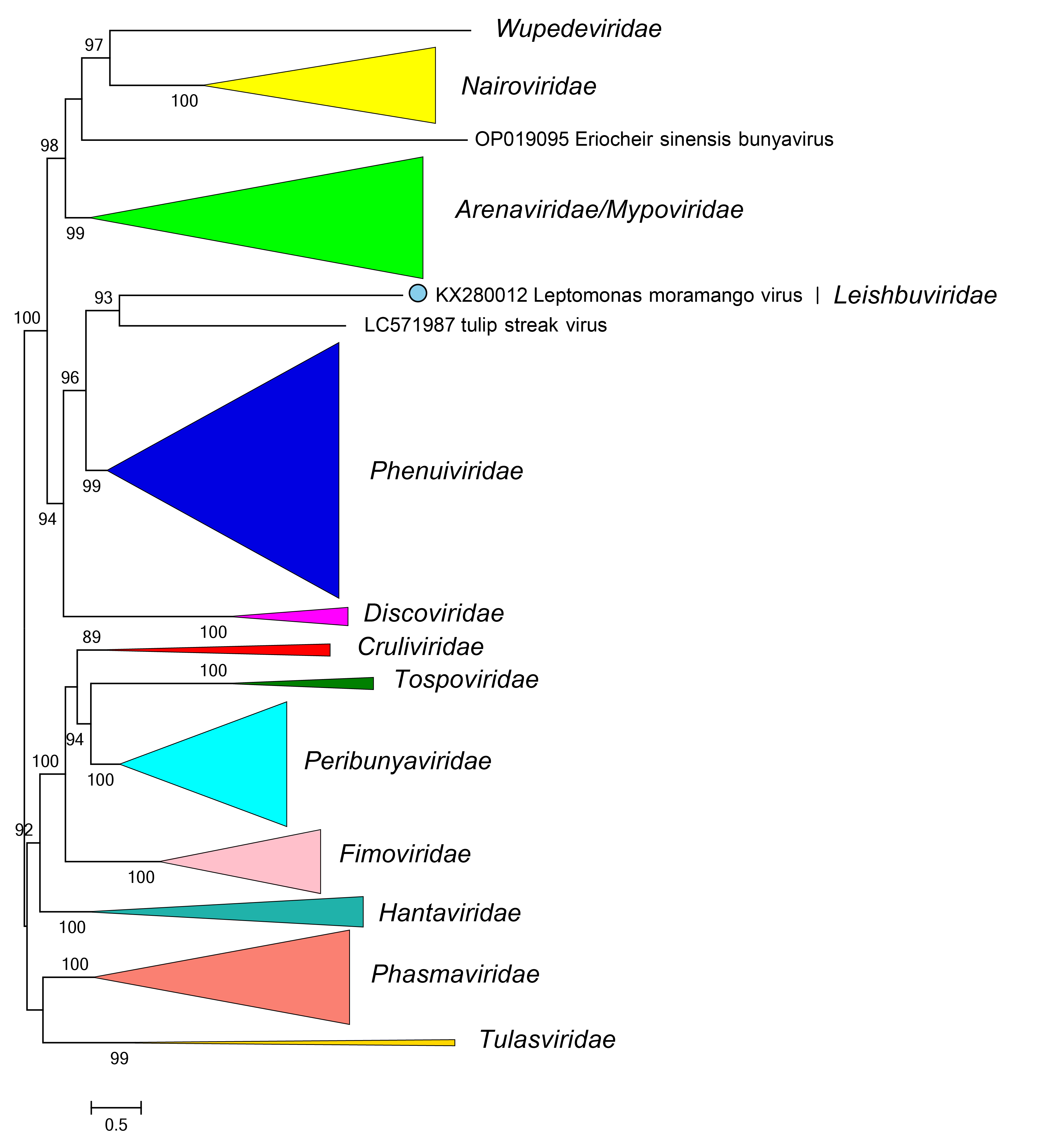 Leishbuviridae phylogeny