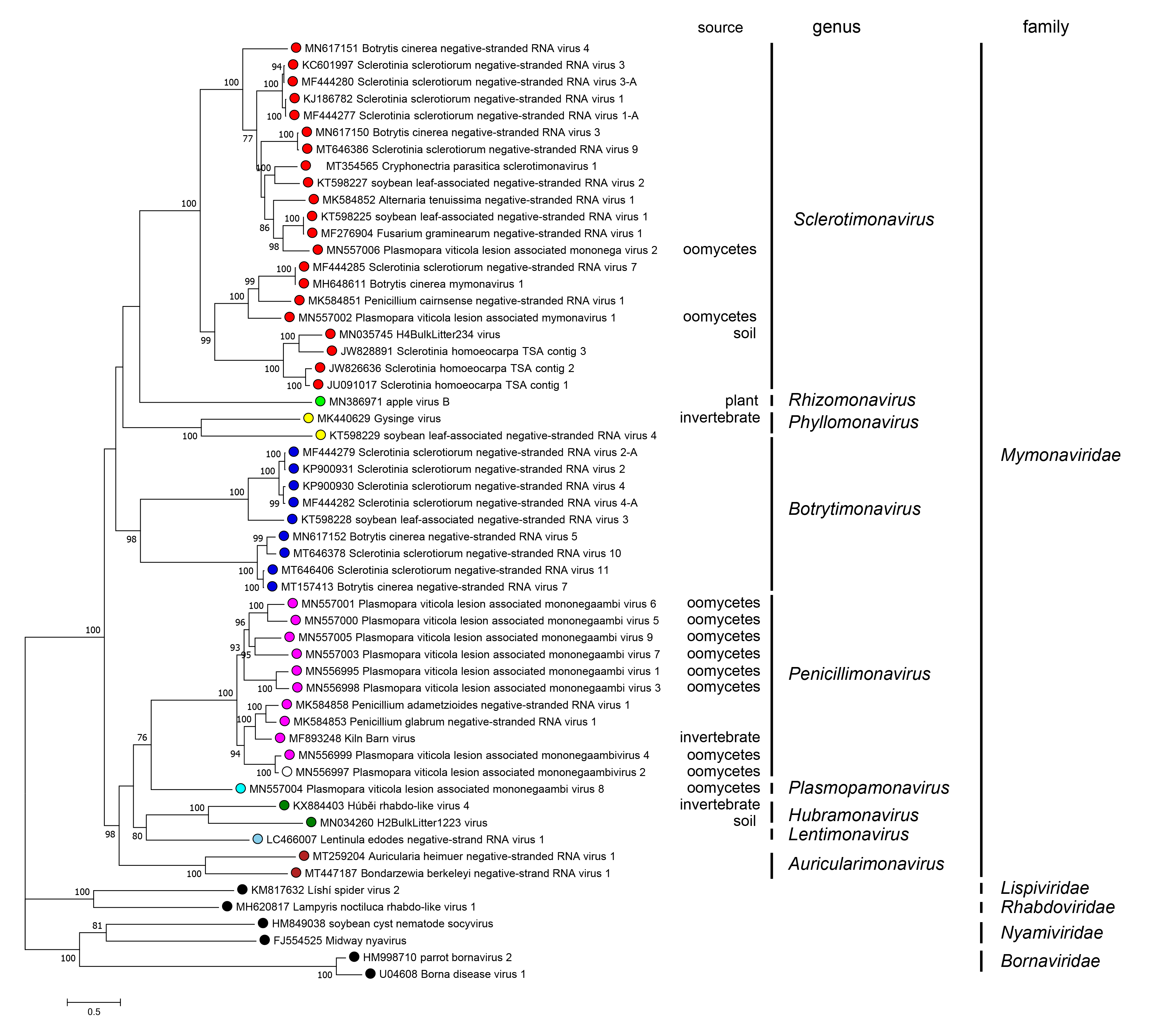 Mymonaviridae phylogenetic tree