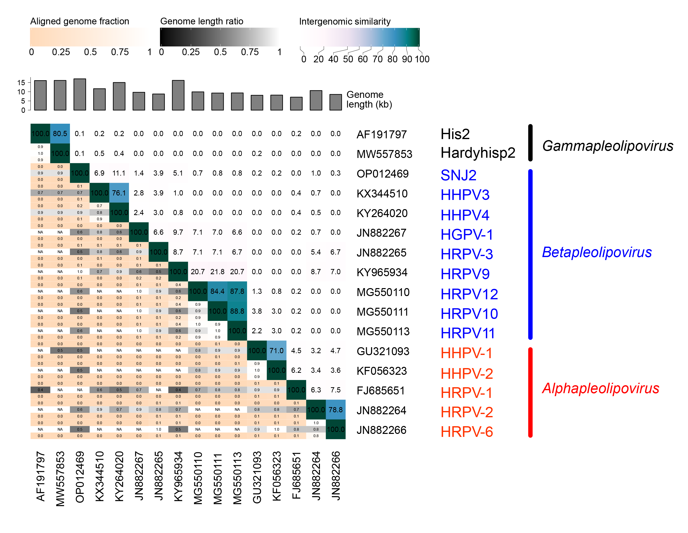 Distance matrix Pleolipoviridae