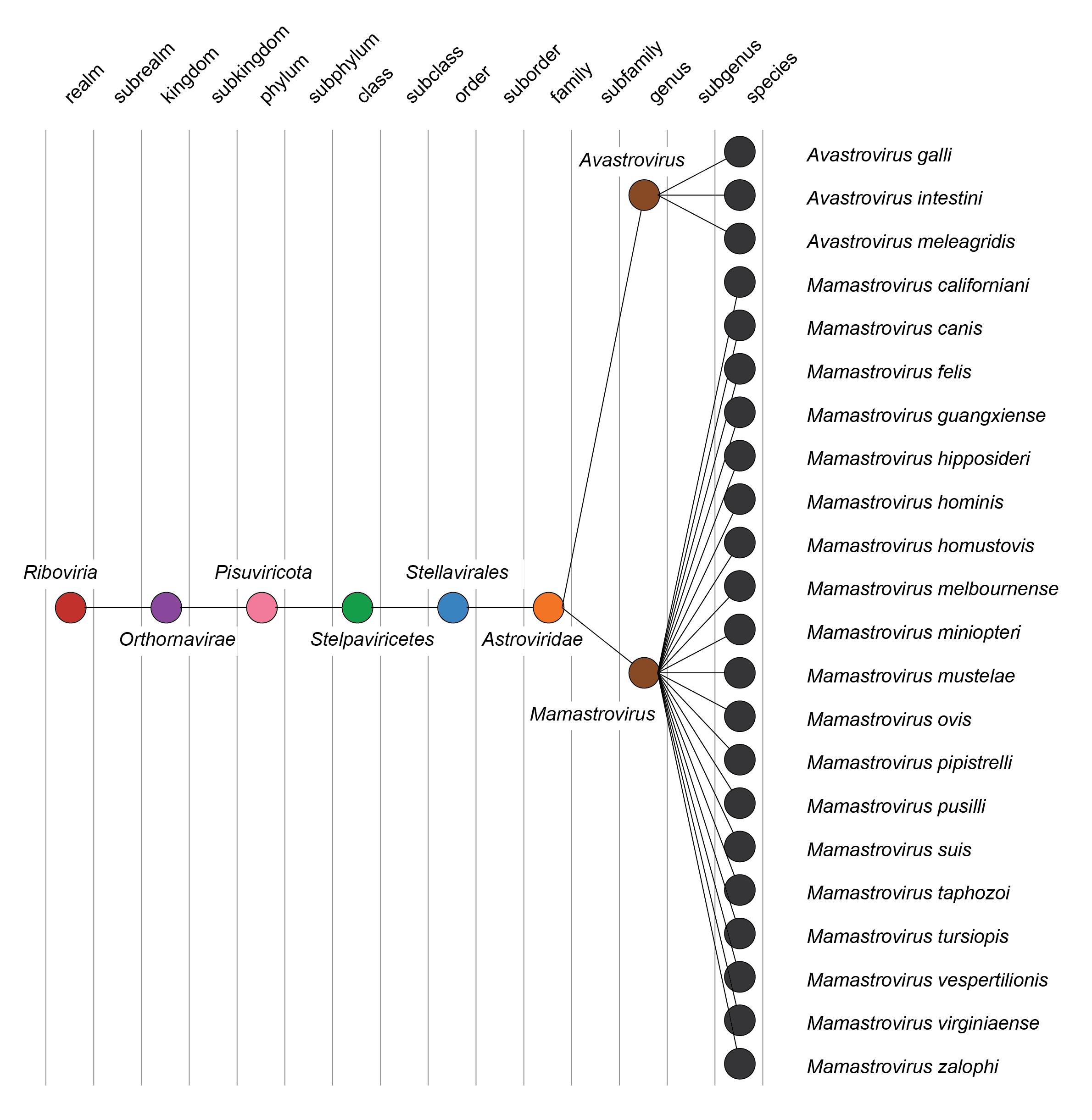 Astroviridae taxonomy