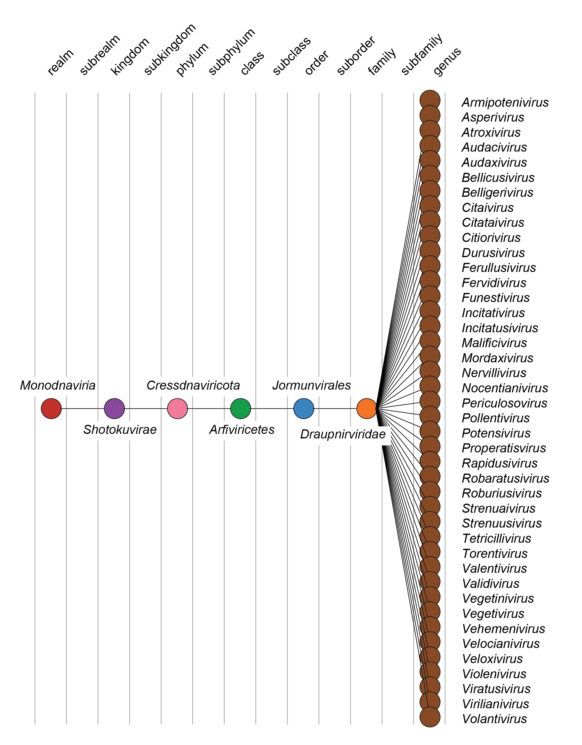 Draupnirviridae taxonomy