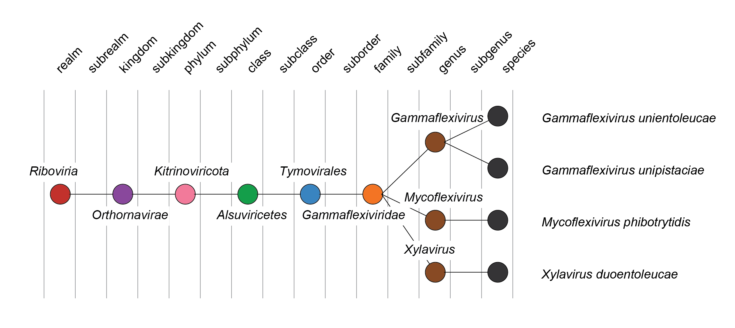 Gammaflexiviridae taxomomy